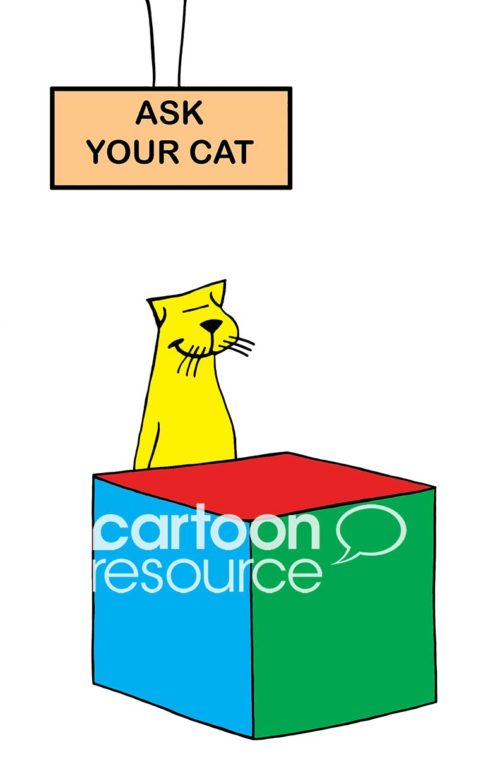 Cat color cartoon of a smiling, yellow cat in front of a stand and the sign 'ask your cat'.