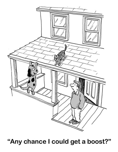 Animal cartoon of a dog trying to chase a cat up onto the house's roof. The dog asks his male owner, 'any chance I could get a boost?'.