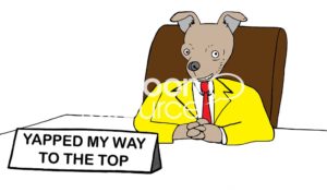 Color boss cartoon showing a Chihuahua boss dog smiling and with a sign on his desk 'yapped my way to the top'.