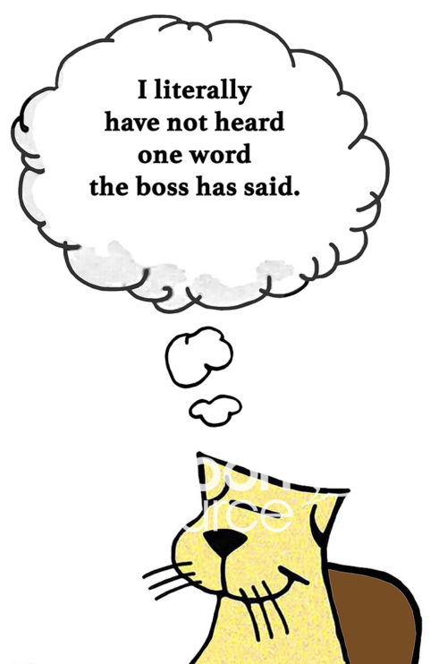 Color boss cartoon showing a proud yellow cat employee thinking, 'I literally have not heard one word the boss has said'.
