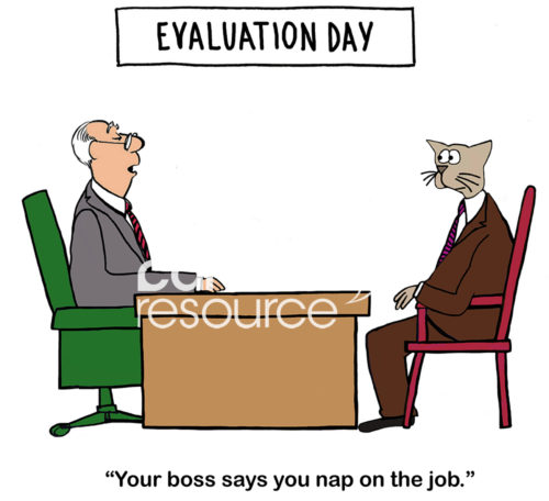Color business cartoon of Evaluation Day between HR and worker cat. "Your boss says you nap on the job', the HR boss says to worker cat.
