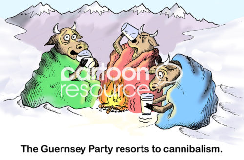 Farming color cartoon showing three dairy cows huddled in the snow on the side of a mountain drinking milk. "The Guernsey Party resorts to cannibalism".