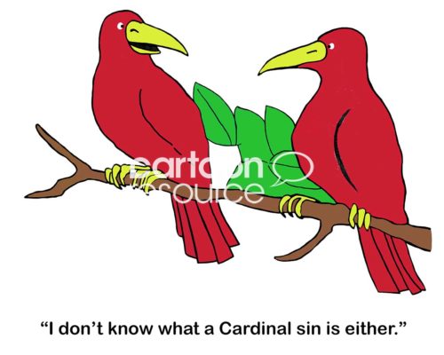 Bird color cartoon of two red cardinals talking, "I don't know what a Cardinal sin is either".