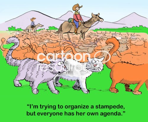 Cat cartoon showing a cowboy herding cats. One cat says, 'I'm trying to organize a stampede, but everyone has her own agenda'.