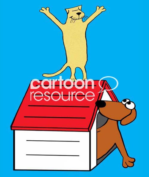 Conflict color carton as a proud yellow cat stands on top of a brown dog's doghouse.