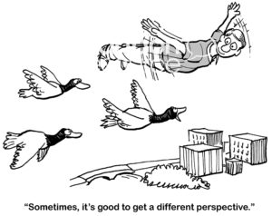 B&W change cartoon showing a man flying with the birds. A bird says to the man, 'sometimes, it's good to get a different perspective'.