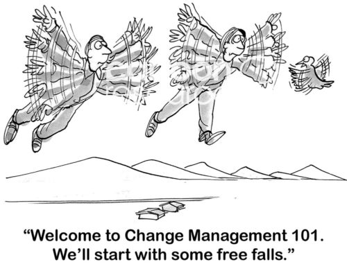 Change b&w cartoon of two adults flying and bird saying to hem, 'Welcome to Change Management 101, we'll start with some free falls'.