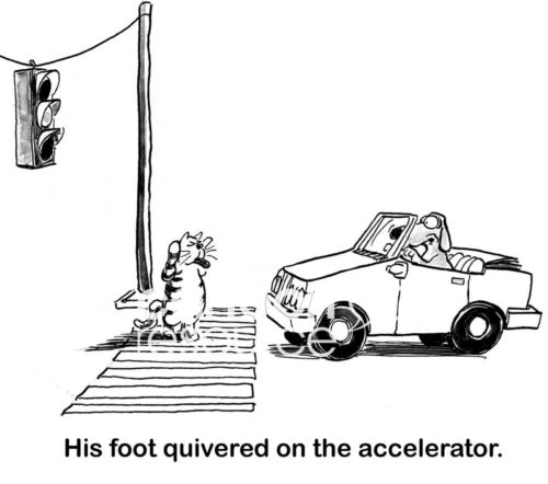 B&W conflict cartoon showing a dog driving a car and is at a crosswalk. A cat is in the crosswalk and teasing the dog. 'His foot quivered on the accelerator.'