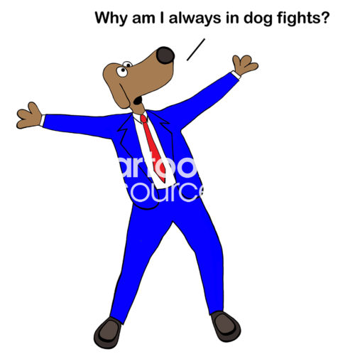 Color conflict cartoon of a business dog shouting out, 'why am I always in dog fights?'.