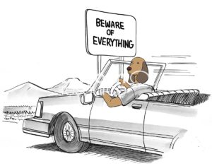 Dog cartoon showing a brown dog driving a car and a sign that reads, 'Beware of Everything'.