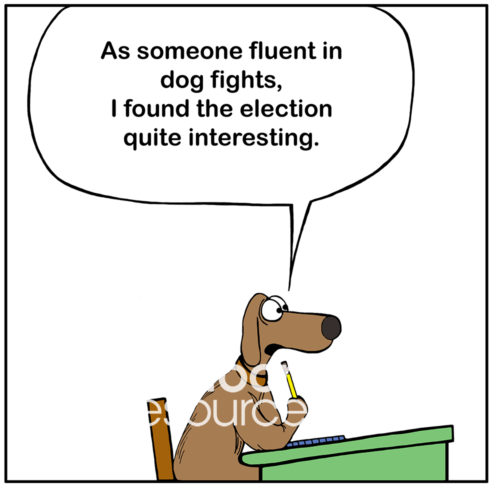 Education color cartoon of a brown dog in a classroom saying, "as someone fluent in dog fights, I found the election quite interesting".