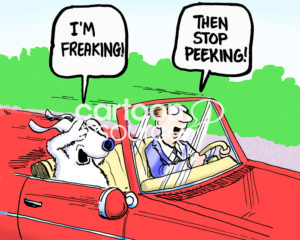 Dog color cartoon of a white dog covering its eyes. It is in a red car with the male driver driving fast. The dog says, "I'm freaking", the man says, "Then stop peeking".