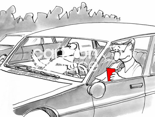 Distracted driver color cartoon of a man texting on his phone as he drives. The dog has taken over the steering wheel of the car.