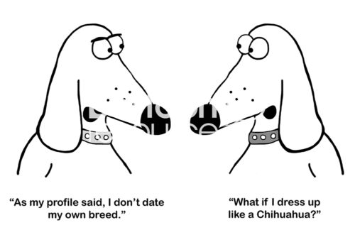 Dating b&w cartoon of two identical dogs. One says, "as my profile said, I don't date my own breed". The other responds, "what if I dress up like a Chihuahua".