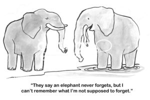 Animal b&w cartoon of two elephants. One says, 'they say an elephant never forgets, but I can't remember what I'm not supposed to forget'.
