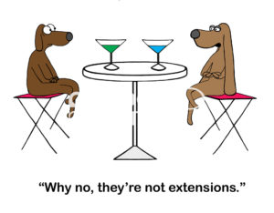Dating color cartoon showing two brown beagles having drinks at a table. The female has very, very long ears and says, "Why no, they're not extensions".