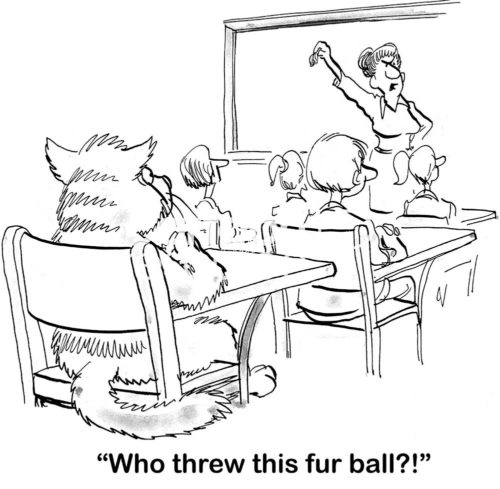 Education b&w cartoon of a class of students, including a cat, and an irritated, female teacher at the front of the class saying, '... who threw this fur ball?'.