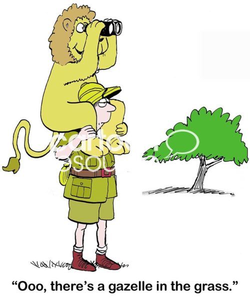 Animal color cartoon showing a lion with binoculars on a safari man's shoulders. The lion says, "Oooo, there's a gazelle in the grass".