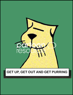 Cat cartoon of a smiling yellow cat, neck and face, and the words, 'get up, get out and get purring'.