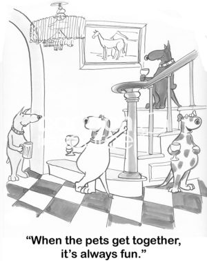 Dog b&w cartoon of dogs hanging out drinking beer and wine. "When the pets get together, it's always fun."