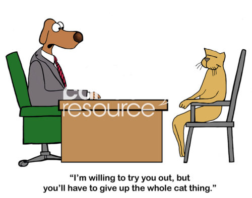 Color interview cartoon of an HR dog manager interviewing a worker cat and saying, 'I'm willing to try you out, but you'll have to give up the whole cat thing'.