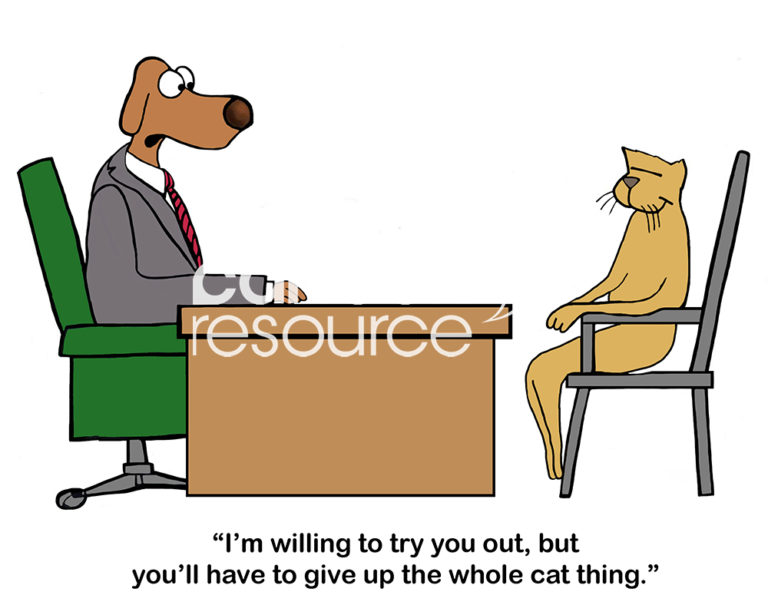 Interview cartoons 1701 - Cartoon Resource