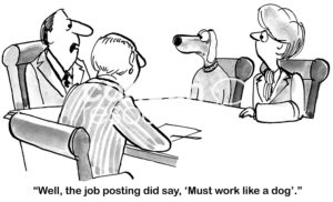 B&W interview cartoon of a dog worker in a group interview. One interviewer says, 'well, the job posting did say, "must work like a dog"'.