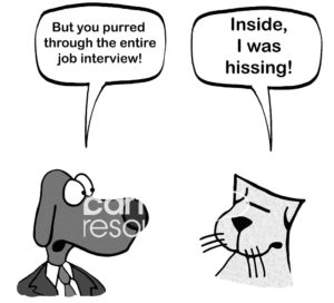 B&W accounting cartoon of an HR dog saying to job candidate cat, 'but you purred through the whole job interview'. The cat responds, 'inside I was hissing'.
