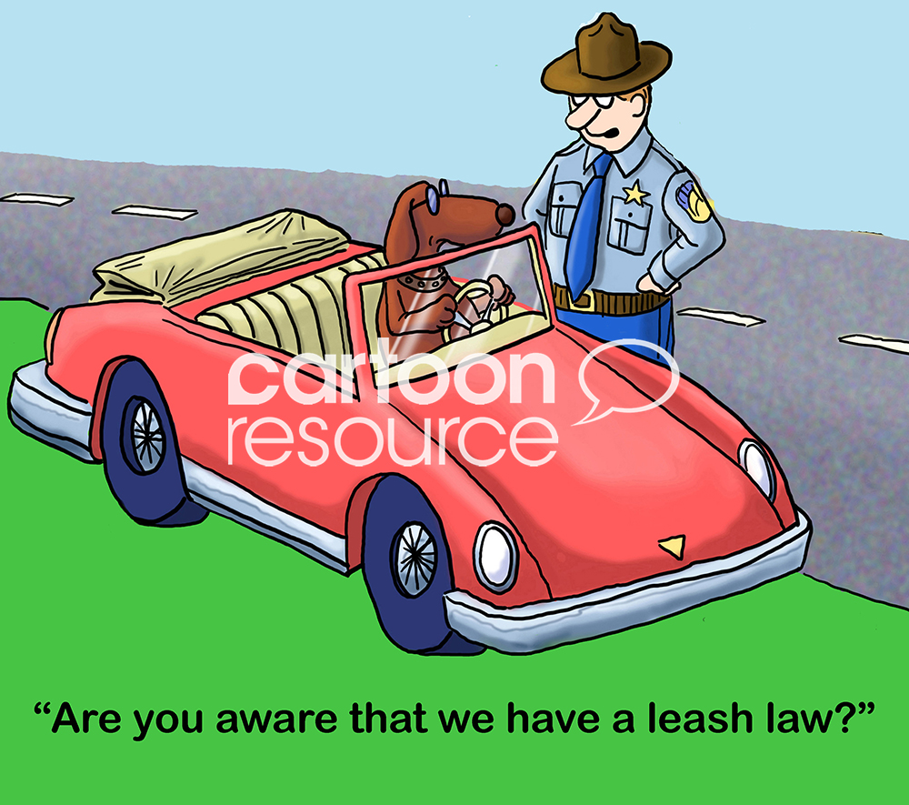 Dog color cartoon of a brown dog driving a red car that has been stopped by a male police officer. The officer says, "are you aware that we have a leash law?".