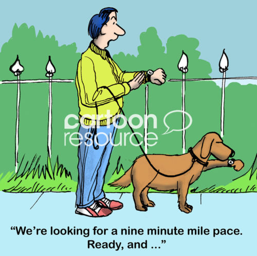 Dog color cartoon of a brown dog looking at a watch on its paw and its male owner looking at the watch on his wrist. The owner says, 'We're looking for a nine minute mile pace...".