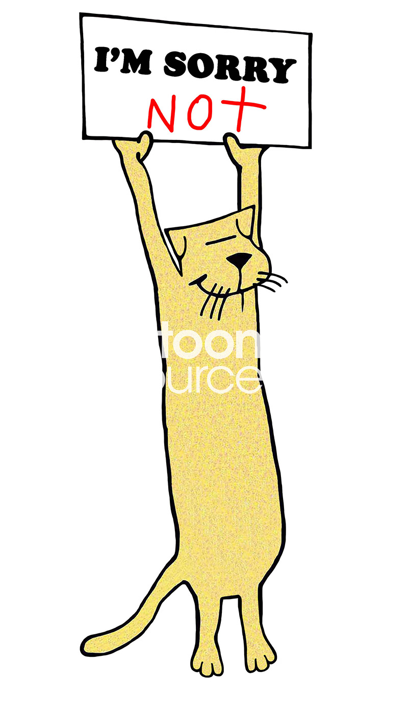 Cat color cartoon of the yellow cat proudly holding a sign that reads 'I'm sorry NOT'.