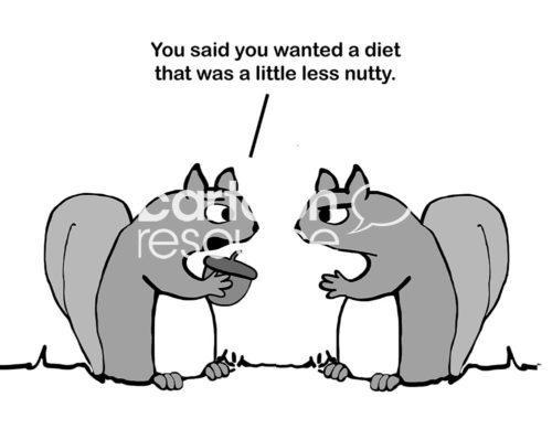 Medical cartoon showing two squirrels, one says, 'you wanted a diet that was a little less nutty'.