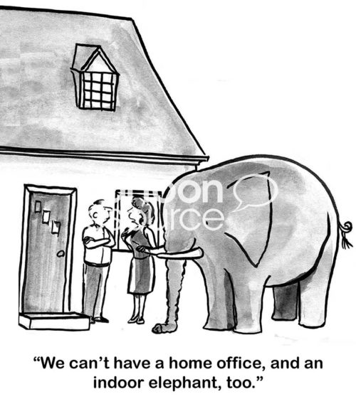 Home office cartoon showing a couple with a small house who have a home office.  The wife is concerned that they cannot have a home office AND an indoor elephant.