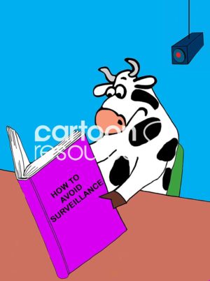 Color cartoon of a dairy cow reading 'how to avoid surveillance' book as the surveillance camera films her.