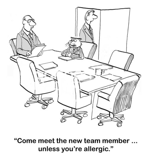 Team b&w cartoon showing the new team member is a cat, "Come meet the new team member... unless you're allergic".