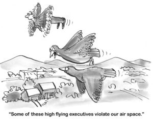 Businessman b&w cartoon showing a businessman flying beside the birds who feel "some of these high flying executives violate our air space'.