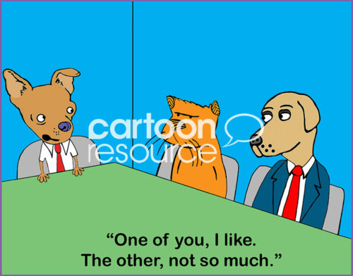 Office color cartoon of two business dogs and a business cat in a meeting. One business day states, 'one of you, I like. The other, not so much'.