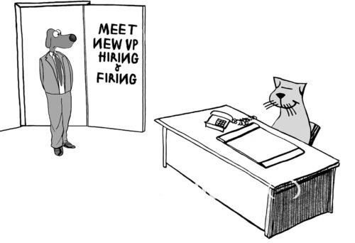 B&W business cartoon showing a business dog walking into a business cat's office. The sign on the door reads, 'Meet new VP of hiring and firing'.