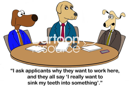 Color interview cartoon of three business dogs. One says, 'I ask applicants why they want to work here and they say, "I really want to sink my teeth into something"'.