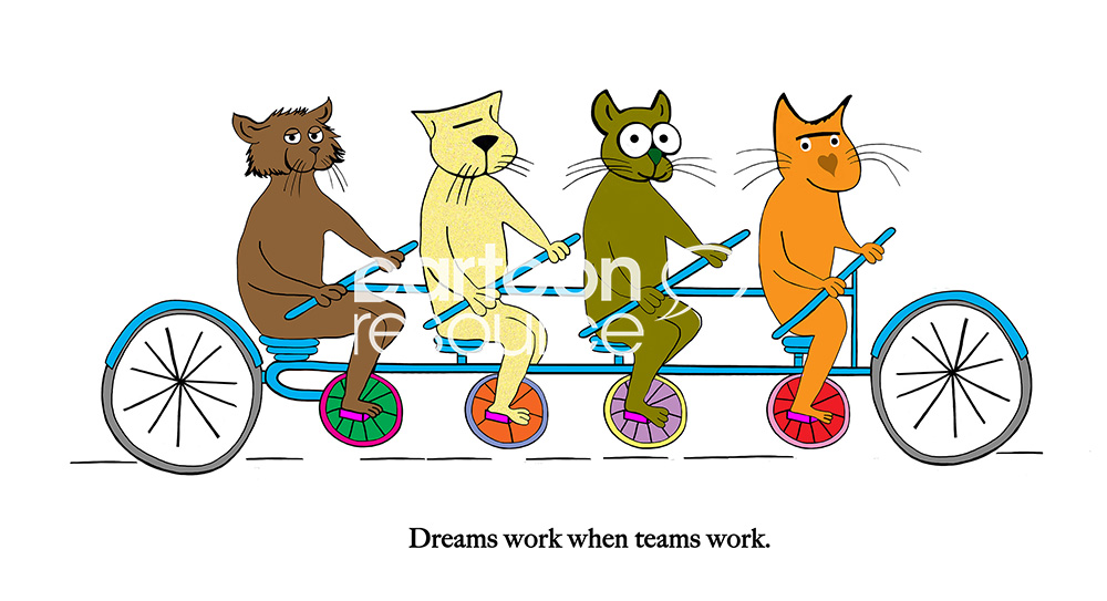 The dream works when the team works