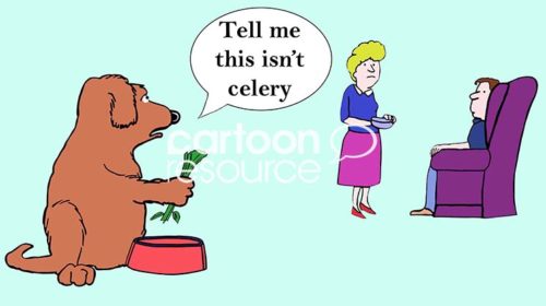 Color cartoon of a dog holding a piece of celery and saying to his owners, 'tell me this isn't celery'.