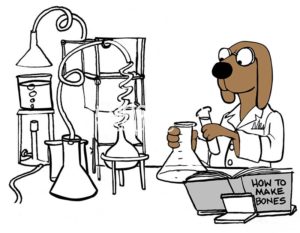 Color cartoon showing a brown dog in a research laboratory following a guide for 'how to make dog bones'.