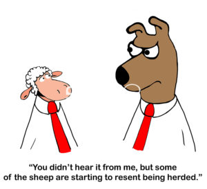 Color boss cartoon of a male sheep worker saying to male boss dog, '...that some of the sheep are starting to resent being herded'.