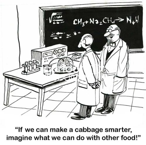 B&W cartoon of a laboratory where two food scientists are trying to make cabbage smarter.