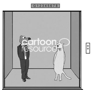B&W conflict cartoon showing an office dog and cat embarrassed to find themselves on an elevator with each other.