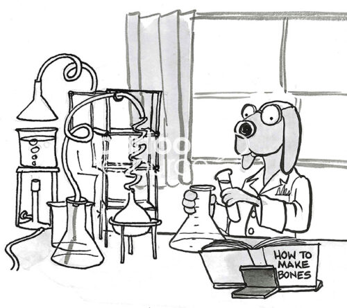 BW cartoon of an excited dog working in a science lab and creating bones for it to chew.