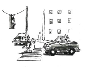 BW cartoon of a cat walking a crosswalk with a dog, in his car, stopped at the traffic light. The cat is teasing the dog, who is helpless to respond.