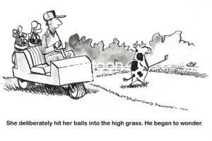 Male human wonders whether his golf partner, the cow, is intentionally hitting golf balls in the high grass.
