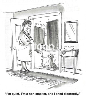 BW cartoon of a woman with a 'room for rent'. A cat applies and states its excellent credentials.