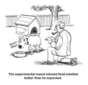 BW cartoon of a male researcher watching as dog participant inspects the insect infused food, it smells better than the dog expected.